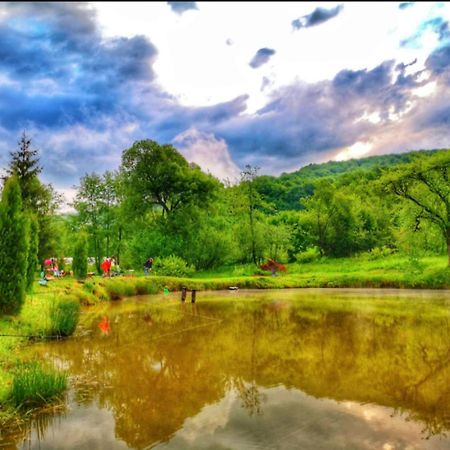 Pensiunea Cerbul - Valea Dobarlaului Exteriér fotografie