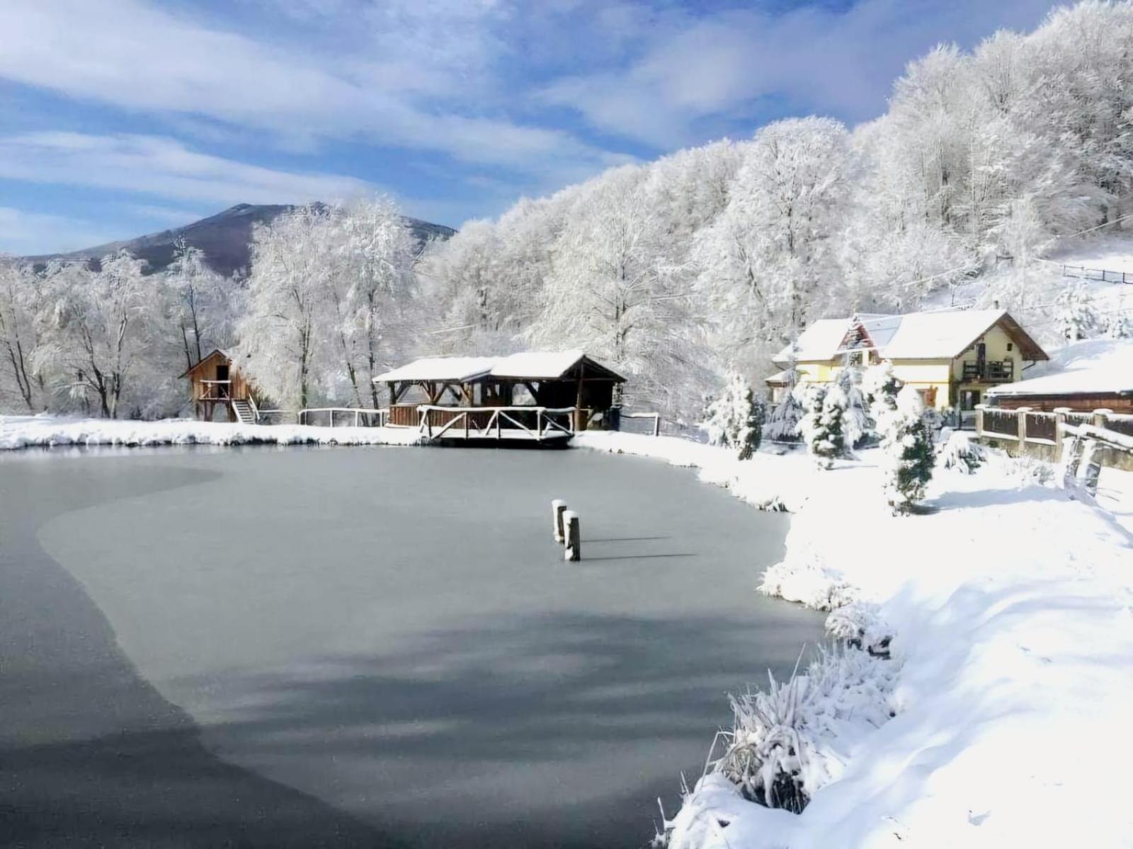 Pensiunea Cerbul - Valea Dobarlaului Exteriér fotografie