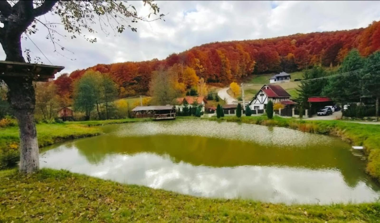Pensiunea Cerbul - Valea Dobarlaului Exteriér fotografie