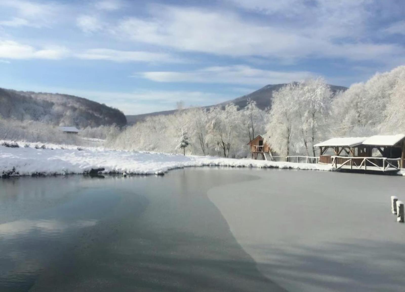 Pensiunea Cerbul - Valea Dobarlaului Exteriér fotografie